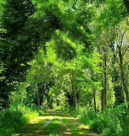 La Lenticchia Alojamento de Turismo Rural Fratta Terme