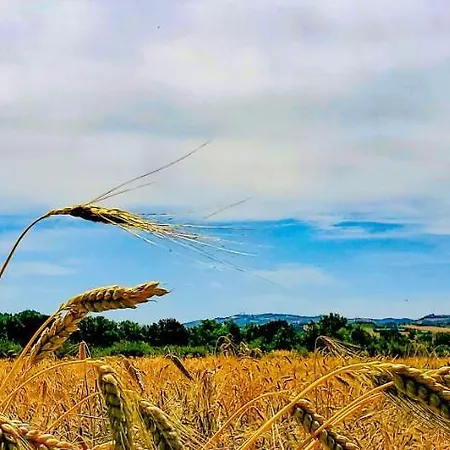 La Lenticchia Alojamento de Turismo Rural Fratta Terme