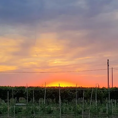 La Lenticchia Fratta Terme