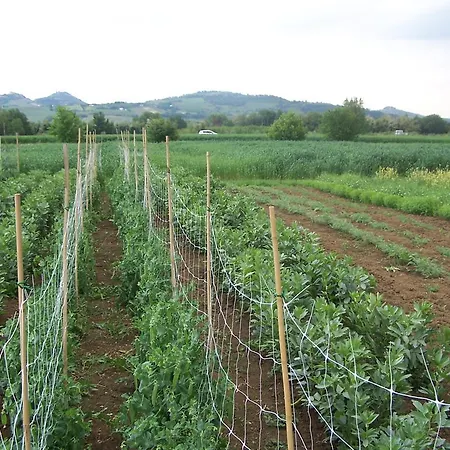 Alojamento de Turismo Rural La Lenticchia