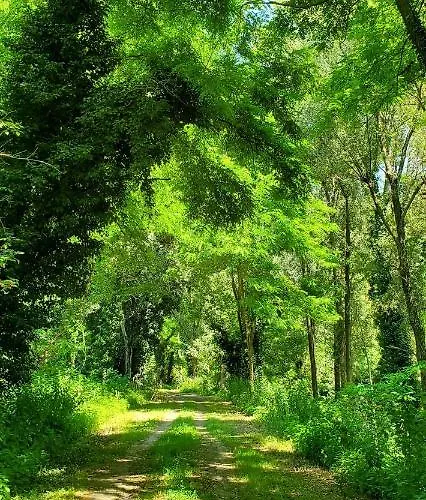 La Lenticchia Agroturismo Fratta Terme