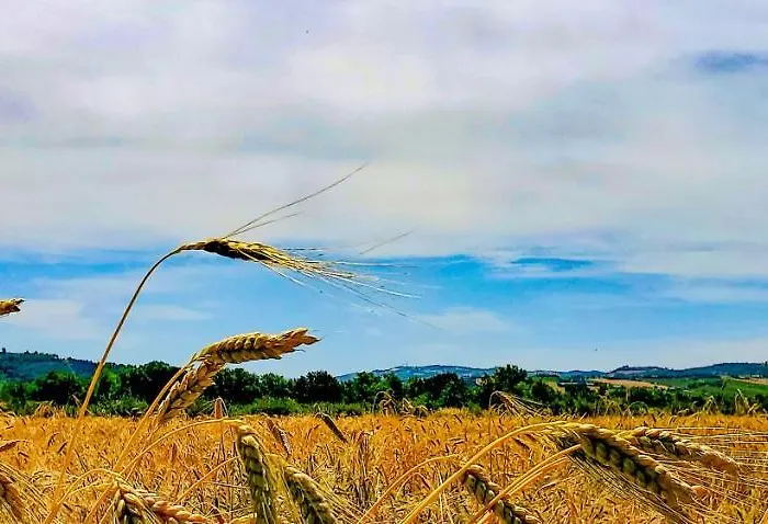 La Lenticchia Agroturismo Fratta Terme
