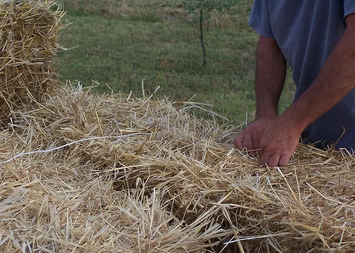 La Lenticchia Agroturismo Fratta Terme