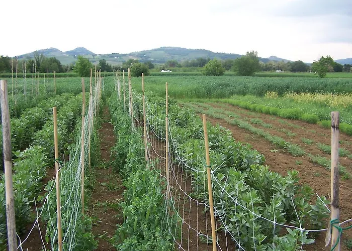 Agroturismo La Lenticchia